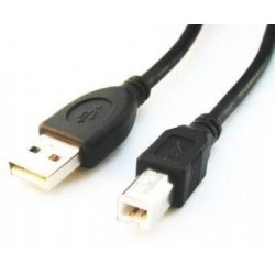 Gembird GEMBIRD CCP-USB2-AMBM-6 Gembird USB 2.0 A- B 1,8m cable black color