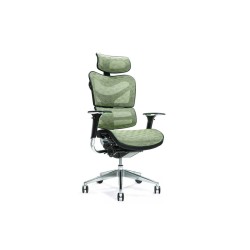 Ergonomic office chair ERGO...