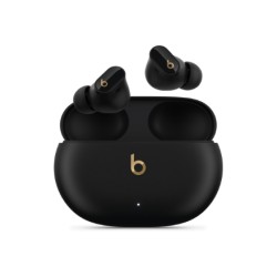 Beats | True Wireless...