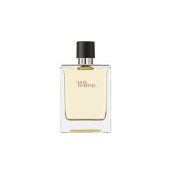 Hermes Terre D'hermes Eau De Toilette Spray 100ml