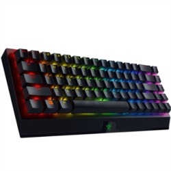 Razer | BlackWidow V3 Mini...