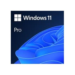 Software|MICROSOFT|Win 11 Pro GGK 64Bit Eng Intl 1pk DSP ORT OEI DVD|Win Pro|OEM|English|4YR-00316