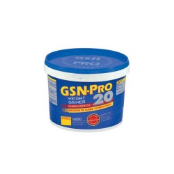 Gsn Pro 20 Chocolate 2,5 Kg