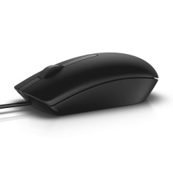 DELL MS116 mouse...