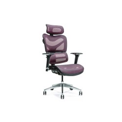 Ergonomic office chair ERGO...