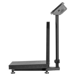 Platform scale WT-1030 300KG