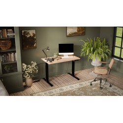 Desk with electric height...