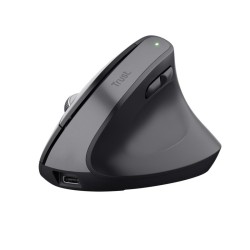 MOUSE USB OPTICAL WRL...