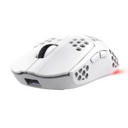 MOUSE USB OPTICAL WRL...