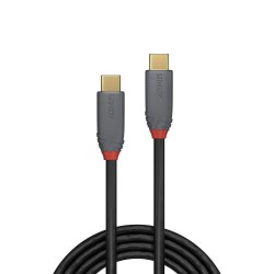 CABLE USB3.2 C-C 1M/ANTHRA...