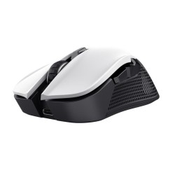 MOUSE USB OPTICAL WRL...