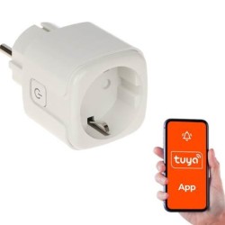 SMART HOME WIFI SMART SOCKET/ATLO-P1-TUYA GENWAY