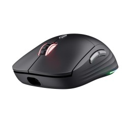 MOUSE USB OPTICAL WRL...