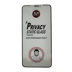 LCD kaitsev karastatud klaas ESD Anti-Static Privacy Apple iPhone 13/13 Pro/14