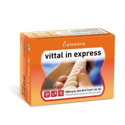 Plameca Vittal In Express