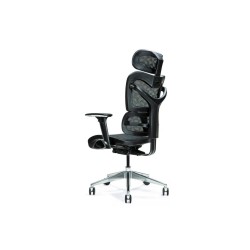 Ergonomic office chair ERGO...