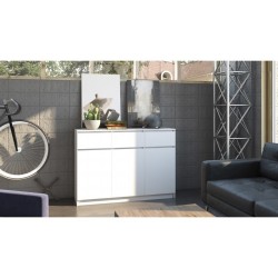 Topeshop 3D3S BIEL chest of...