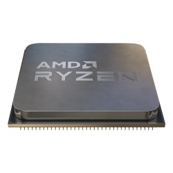 AMD Ryzen 5 9600 processor...