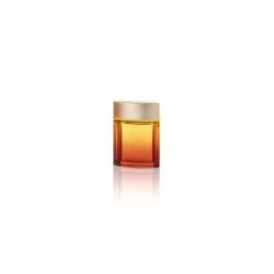 Tous Man Spritz Edt 100 Vpo...