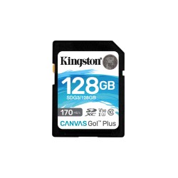 Kingston Technology Canvas...