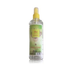 Alvarez Gomez Verbena Fresh...