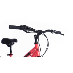 MTB Bike - 20" Huffy Stone...