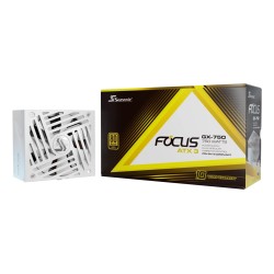 Seasonic Focus GX power...
