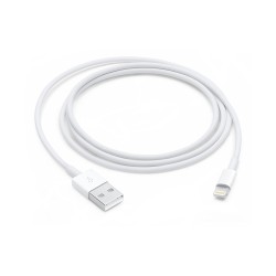 Apple Lightning to USB...