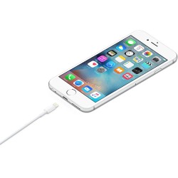 Apple Lightning to USB...