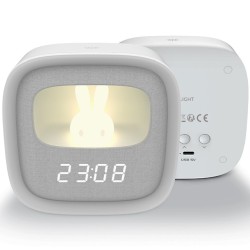 Forever Light FNL-06 Alarm...