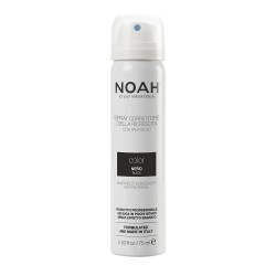 Noah Color Spray Corrector...