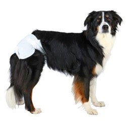 TRIXIE - Nappies for Dogs -...