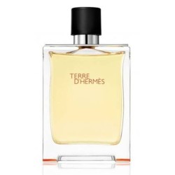 Terre D'Hermes Eau De...