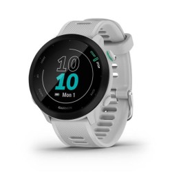 Garmin Forerunner 55 2.64...