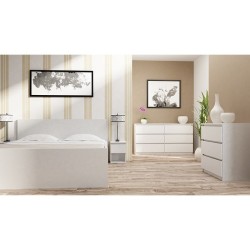 Topeshop M4 BIEL chest of...