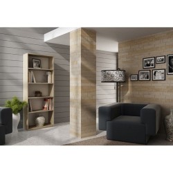Topeshop R60 SONOMA office...