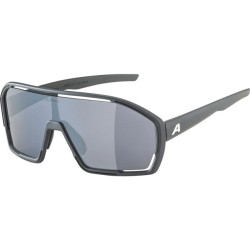Alpina Bonifire Sunglasses...