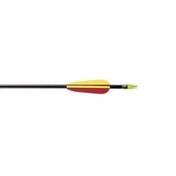 Fibreglass arrow 30’ Poe...