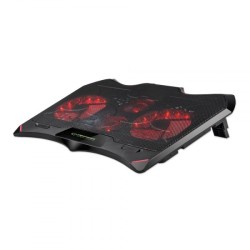 Esperanza EGC102 laptop...