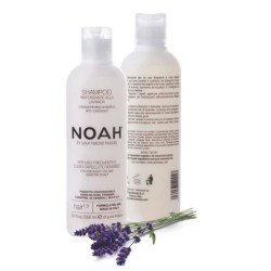Noah Lavanda Champu...