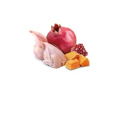 Farmina Pet Food N&D...