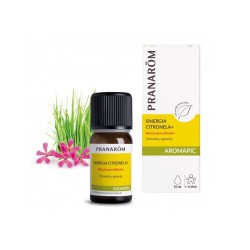 Pranarom Aromapic Synergy...
