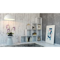 Topeshop STEP BIEL 4X4...