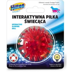 HILTON Smart Interactive...