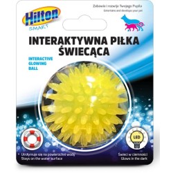 HILTON Smart Interactive...