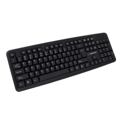 Esperanza EK134 keyboard...