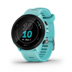 Garmin Forerunner 55 2.64...