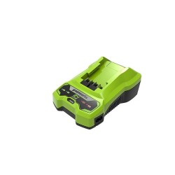 24V 2A Greenworks G24C...
