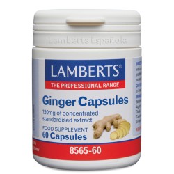Lamberts Ginger Extracto...