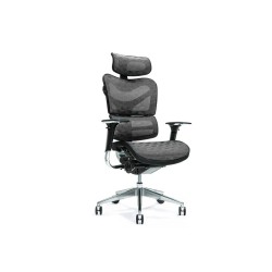 Ergonomic office chair ERGO...
